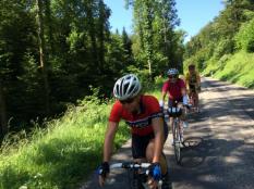 WE 300 bornes